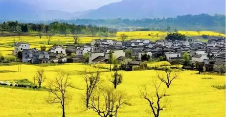 田园综合体核心引擎 文博堂教你打造高价值休闲农庄的五大策划密码