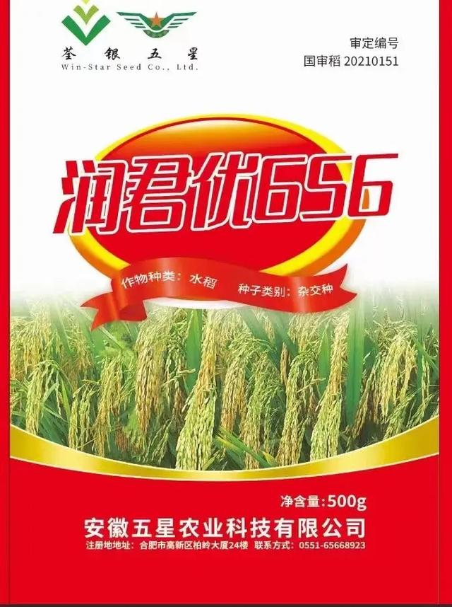 润君优656.最强一代香稻米,解决香稻,抗倒,产量低的问题